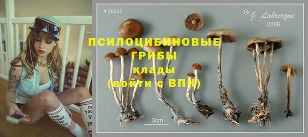 спайс Нефтекумск