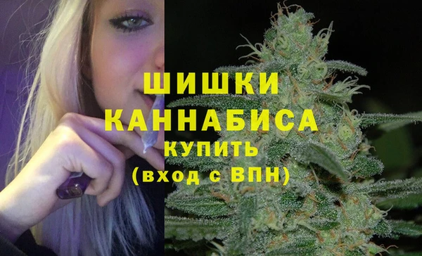 шишки Нефтегорск