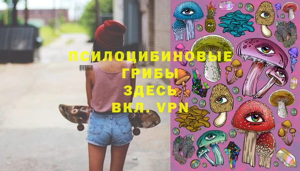 шишки Нефтегорск