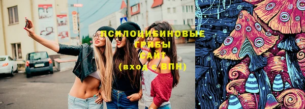 винт Нея