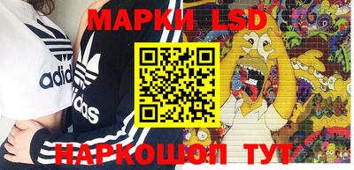 прущие грибы Кандалакша