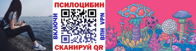 купить закладку  Новокубанск  Галлюциногенные грибы мухоморы 