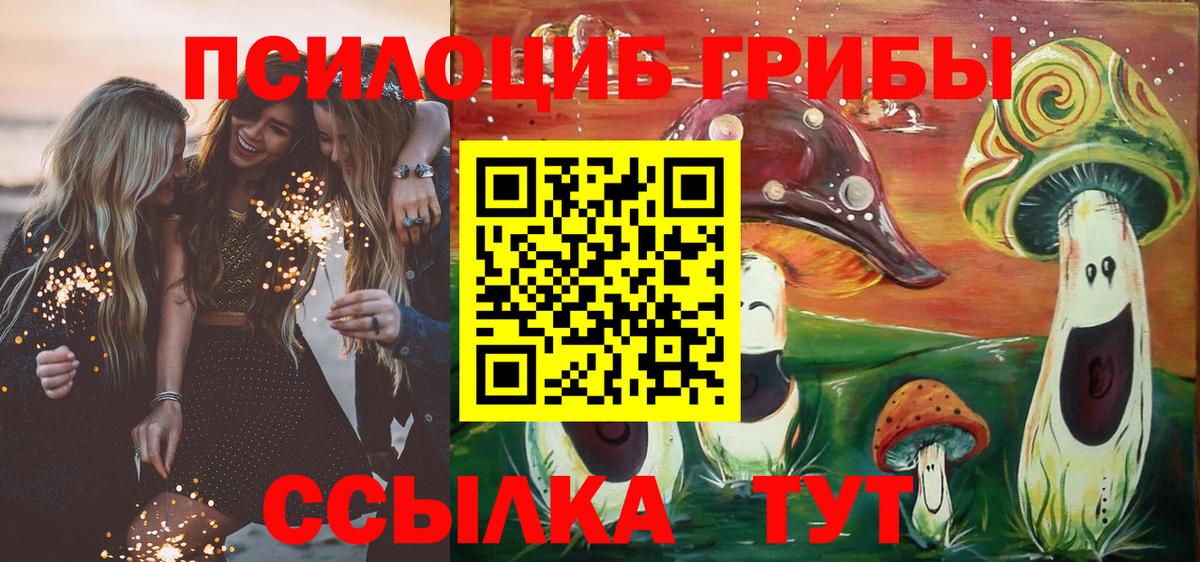 Галлюциногенные грибы мухоморы Новокубанск