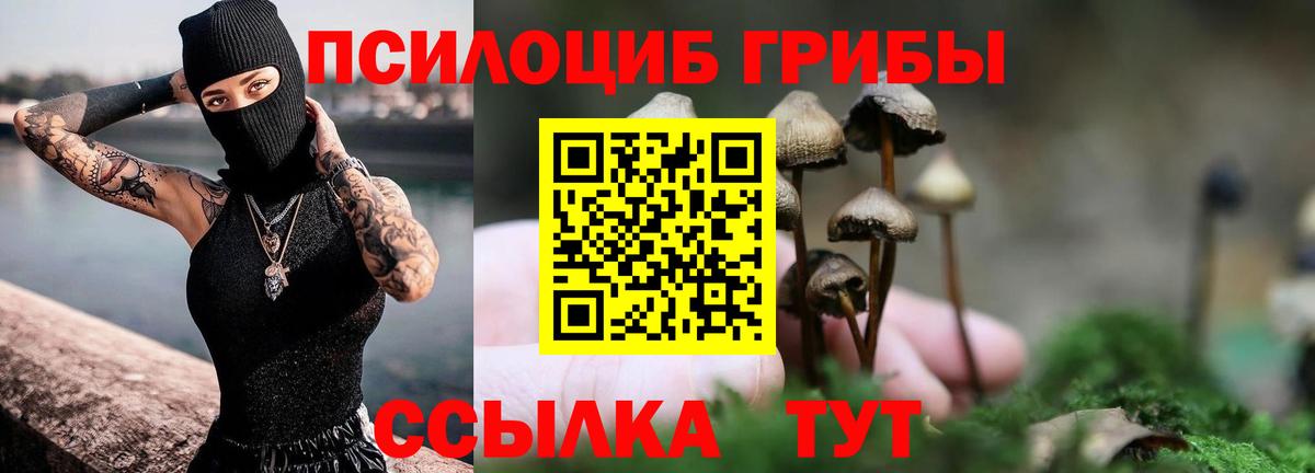 Новокубанск  Псилоцибиновые грибы Psilocybe  где продают   Вход с VPN 