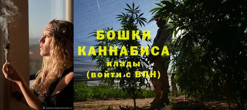 Конопля SATIVA & INDICA  Новокубанск 